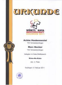 Wü Kata Meisterschaft 2 Platz